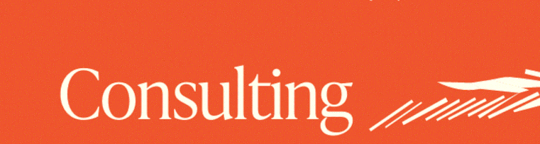 consulting title